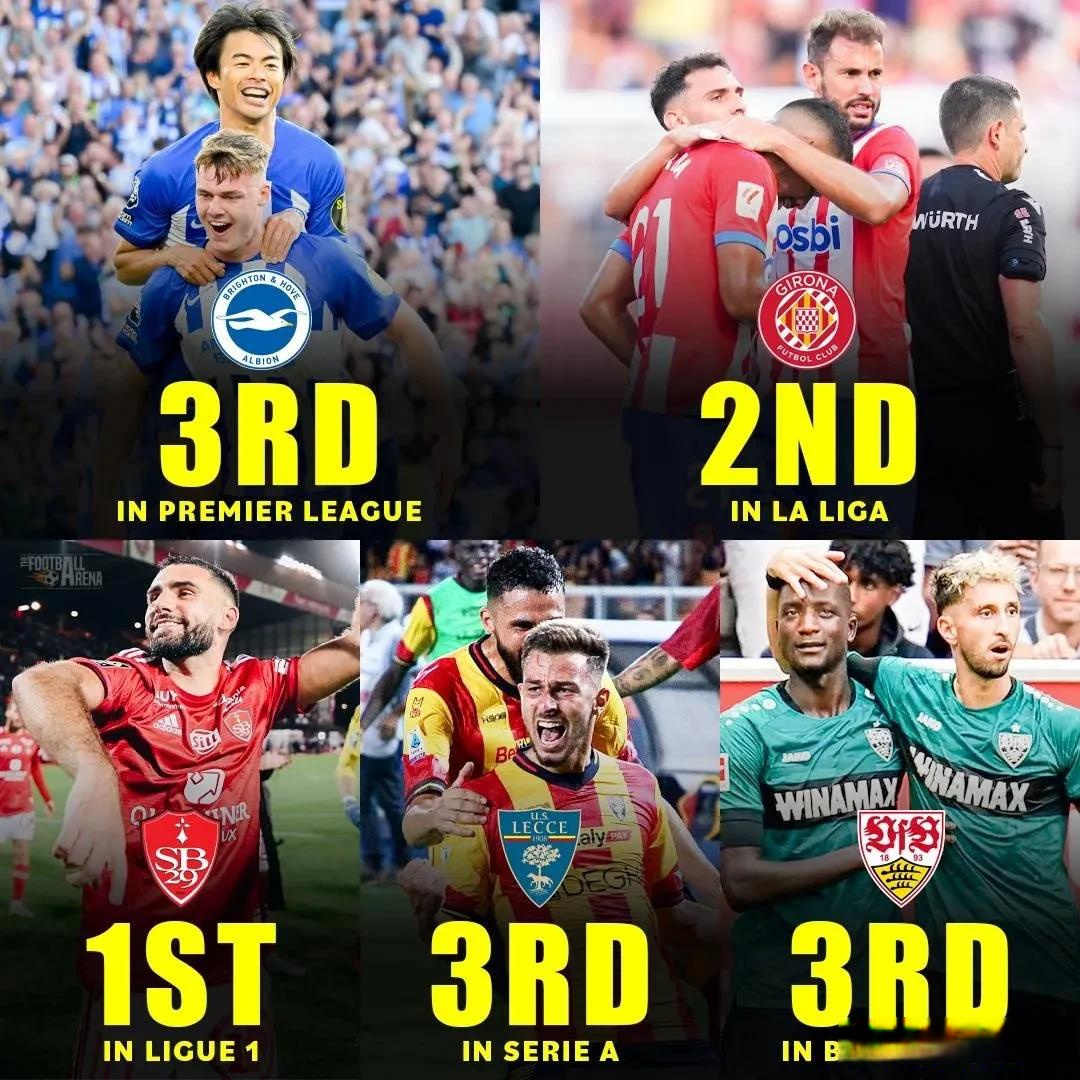 开云-斯图加特阵容