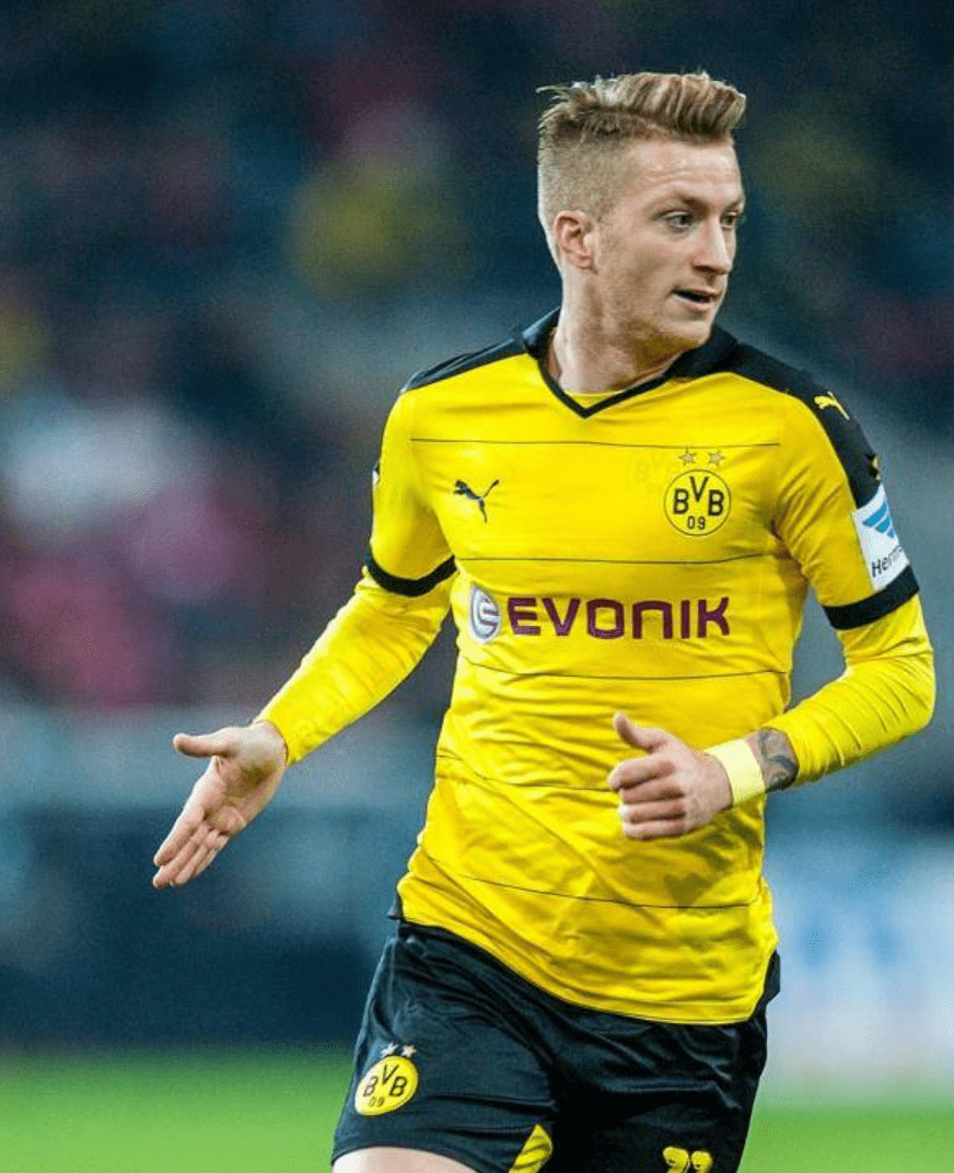 开云-斯图加特阵容